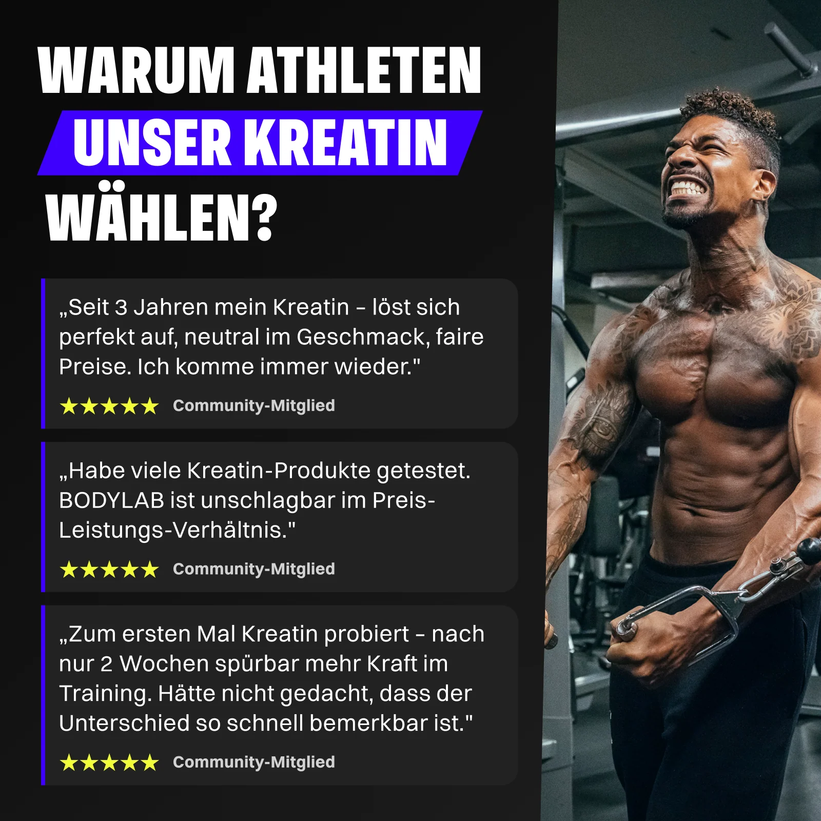 4 x Creatine Powder (500g) - Image 6
