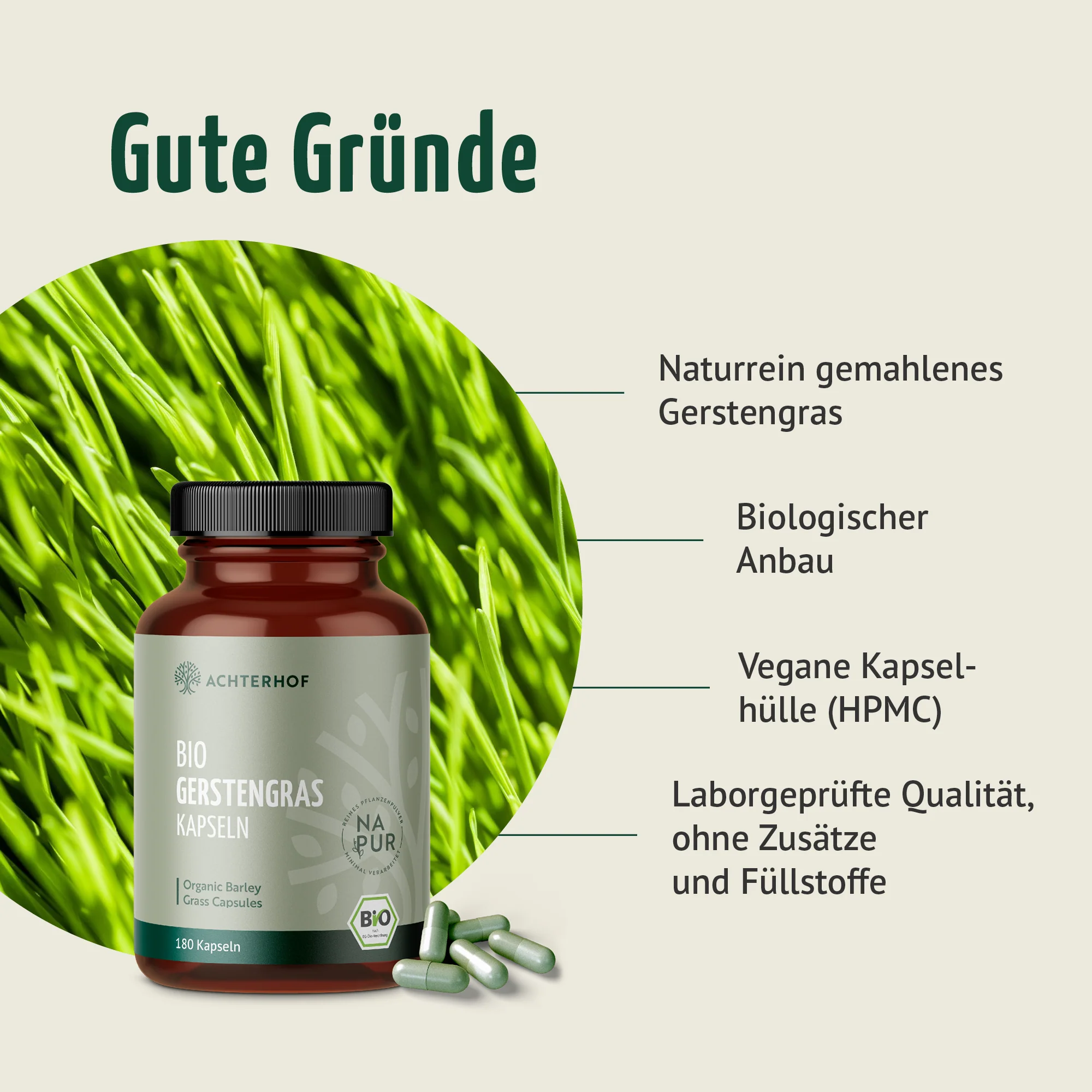 Gerstengras Kapseln Bio (180 Kapseln) - Image 3