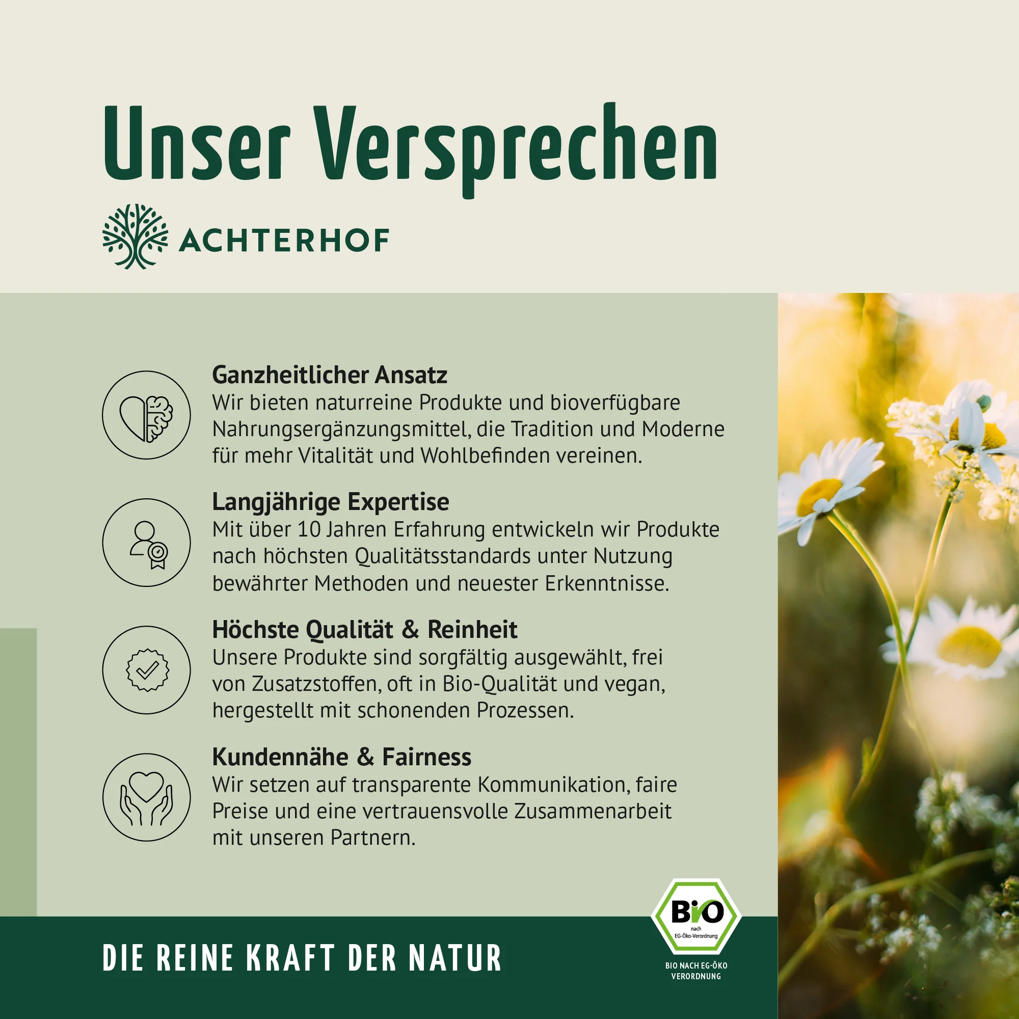 Kurkuma Kapseln Bio (180 Kapseln) - Image 12