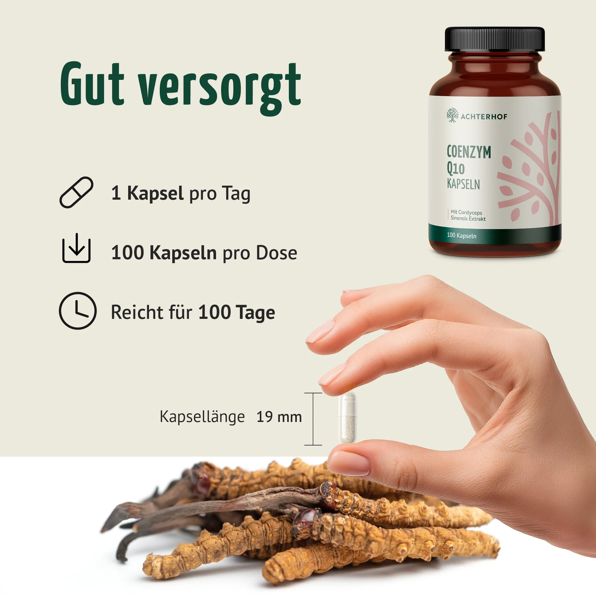 Coenzym Q10 (100 Kapseln) - Image 4