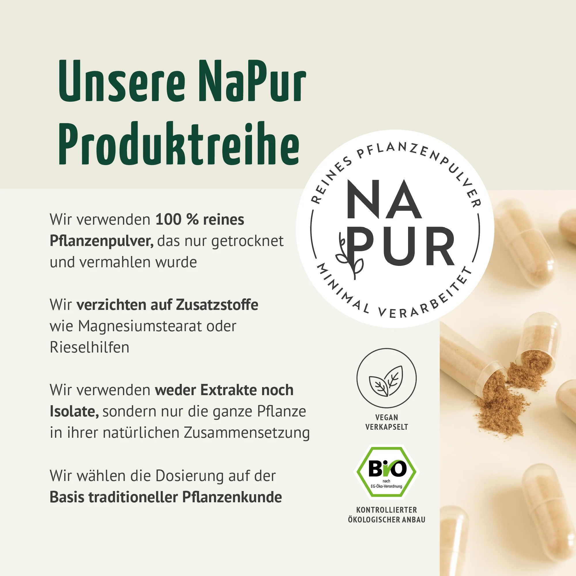 Ingwer Kapseln Bio (160 Kapseln) - Image 2